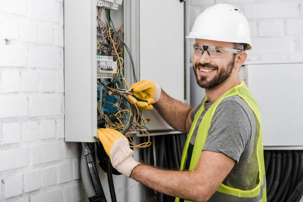 Best Ceiling Fan Installation Electrician  in Farmers Loop, AK