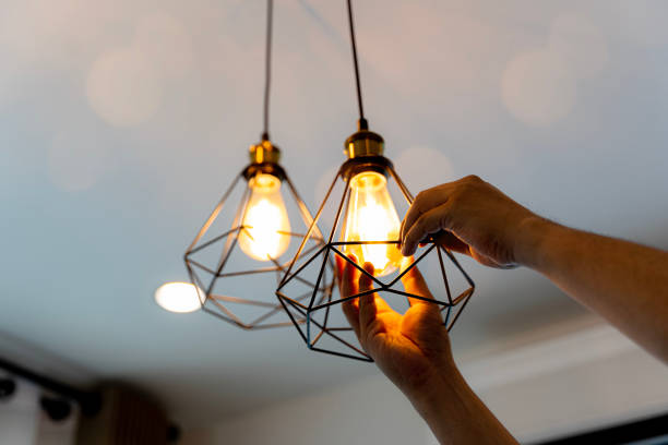 Best Electrical Repair Services  in Farmers Loop, AK